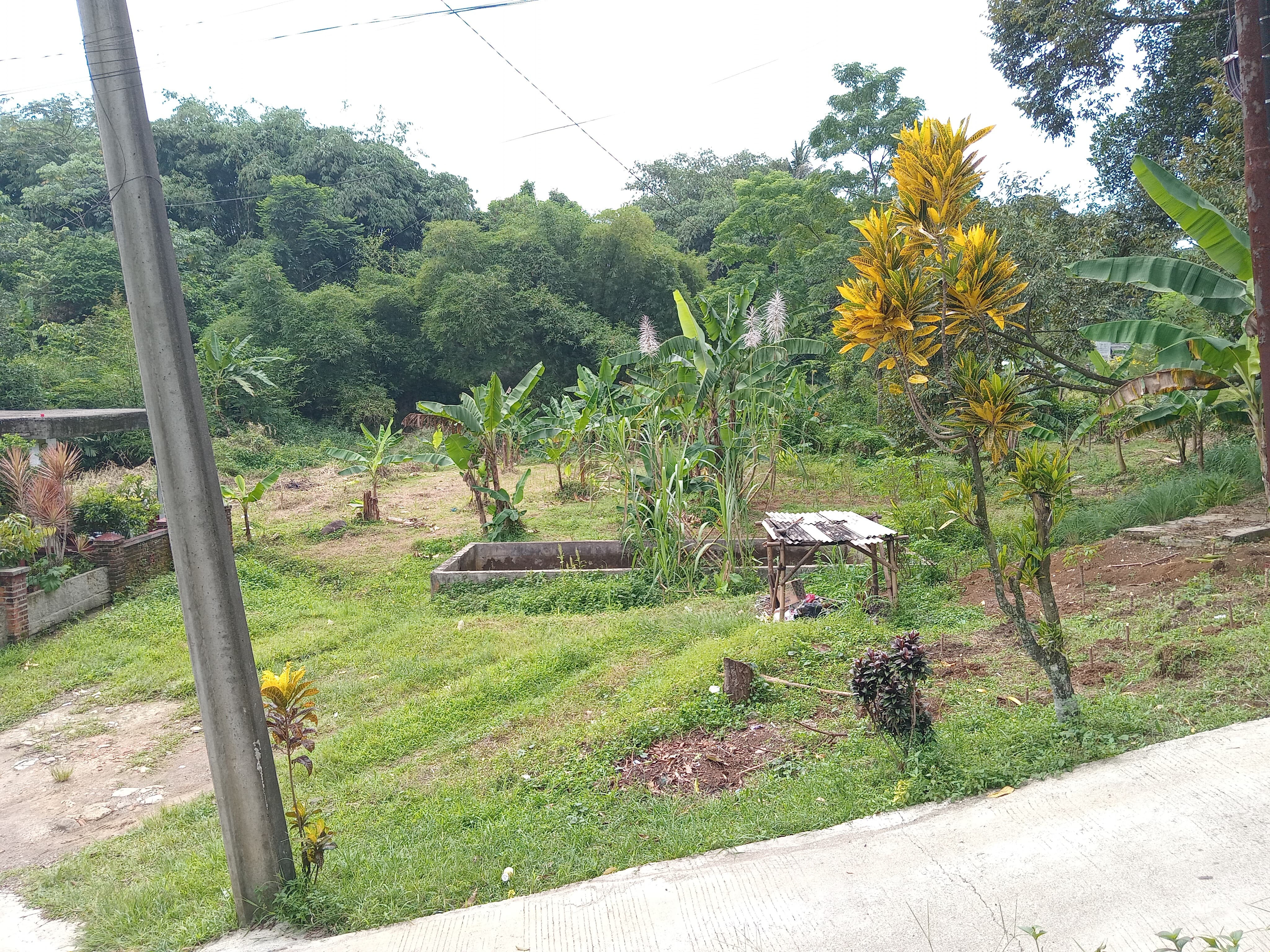 Dijual Tanah Kosong 1.384m2 di Cimahpar, Kota Bogor Utara photo 1